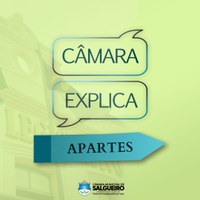 #CâmaraExplica - APARTES