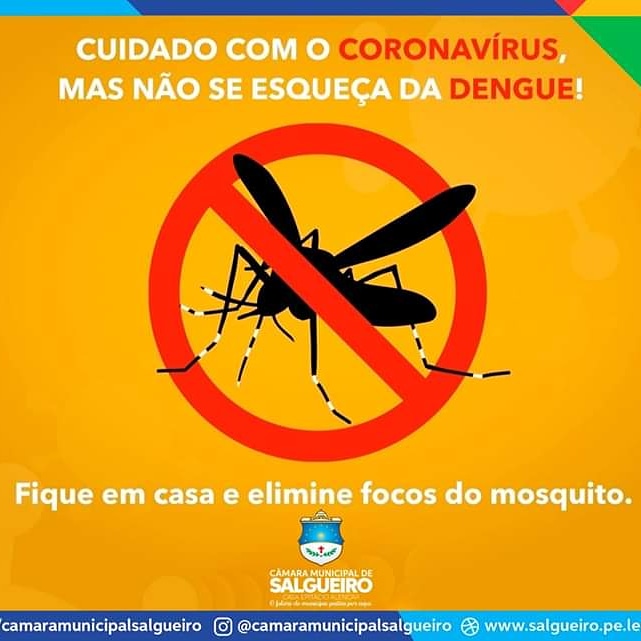 Cuidado com a Dengue!