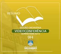 Resumo dos pronunciamentos dos Vereadores e das Vereadoras na Sessão Ordinária por videoconferência dessa quarta-feira (02/12/2020)