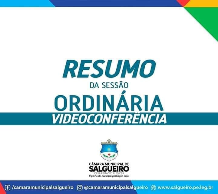 RESUMO DA SESSÃO POR VÍDEO CONFERÊNCIA DESSA QUARTA (13/05/2020).